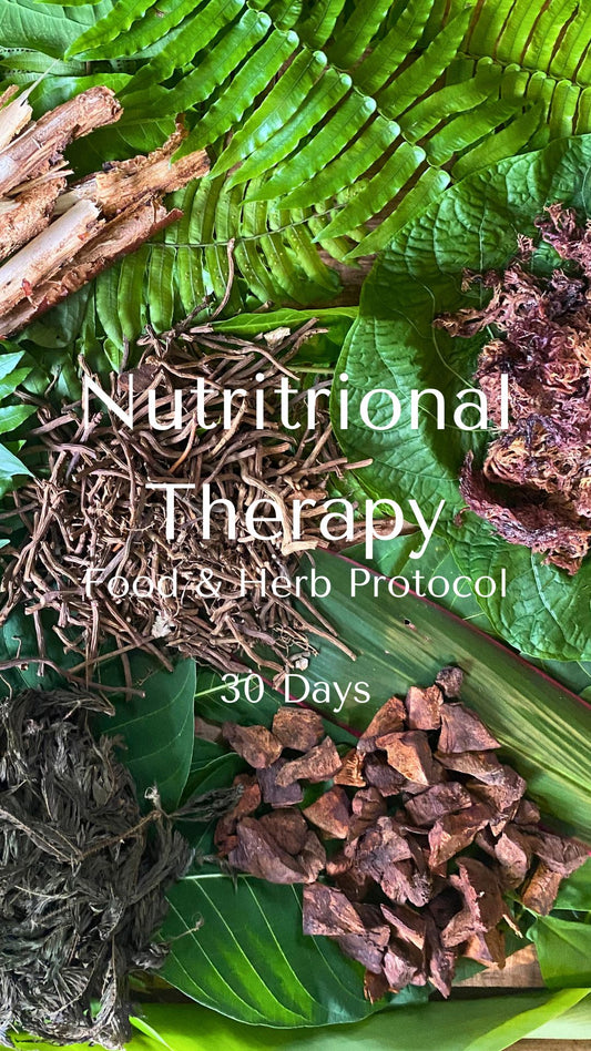 HERB AND FOOD PROTOCOL - 30 DAYS