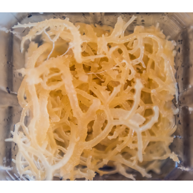 St Lucian Sea Moss, Gold