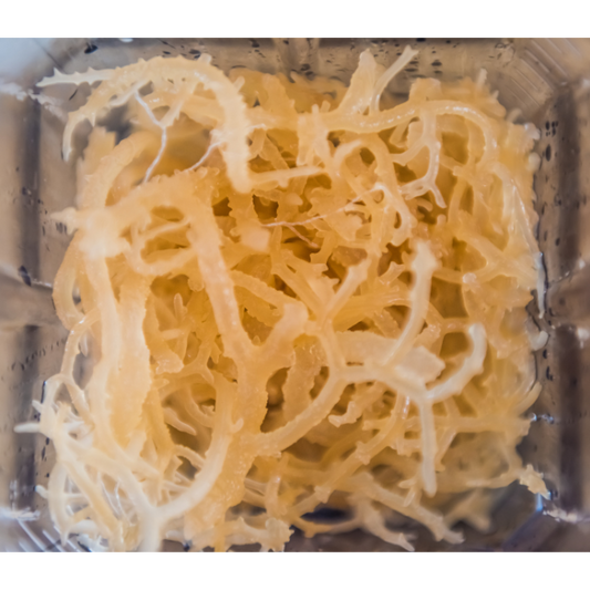 St Lucian Sea Moss, Gold