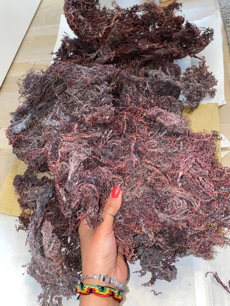 St Lucian Sea Moss, Purple